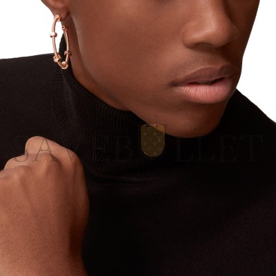 CARTIER ECROU DE CARTIER EARRINGS B8301408